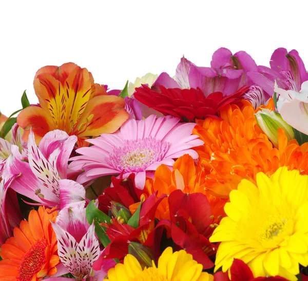 Background of the flowers — Stock Photo, Image