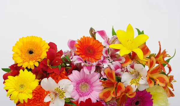 아름다운 꽃들 — 스톡 사진