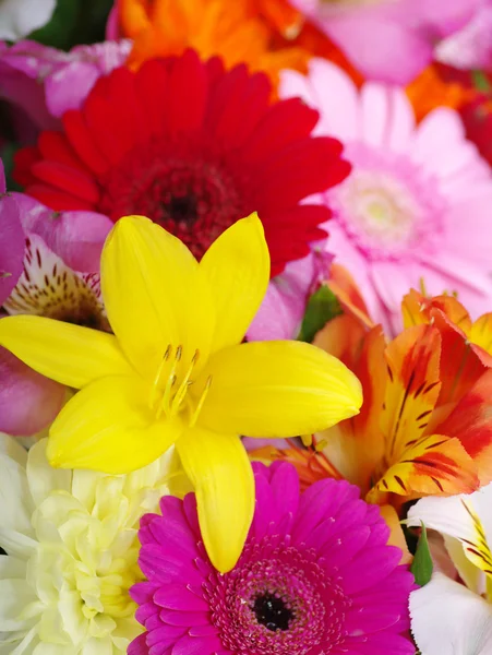 Schöne Blumen — Stockfoto