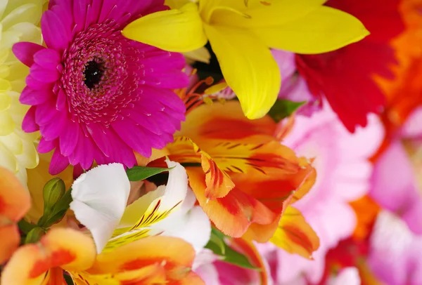 Schöne Blumen — Stockfoto