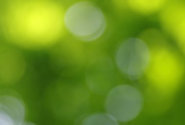 Yeşil bokeh 