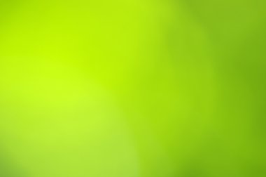 Yeşil bokeh 
