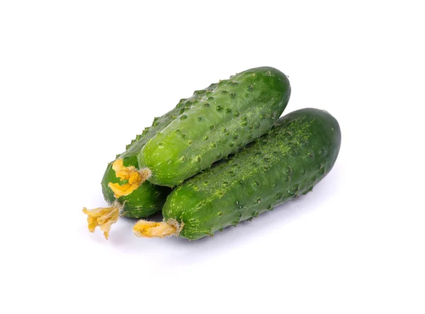 Green cucumber\ — Foto de Stock