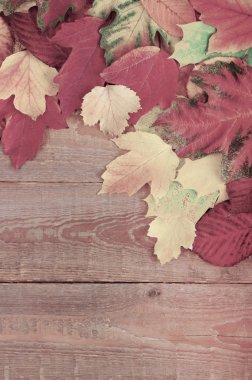 Sonbahar Yaprakları