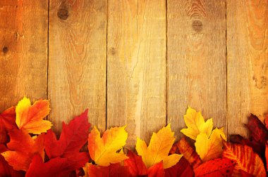 Sonbahar Yaprakları