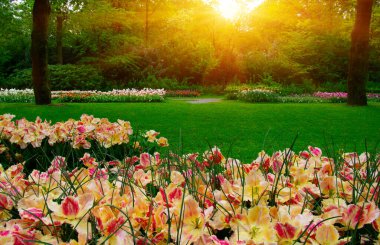 Çiçek açan bahar çiçekleri ve yeşil çimenleri olan bahçe.