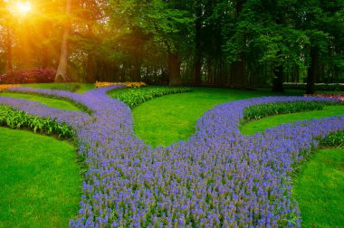 Yeşil çimenler, ağaçlar ve güneş ışığında açan çiçeklerle dolu bahar çiçeği parkı.