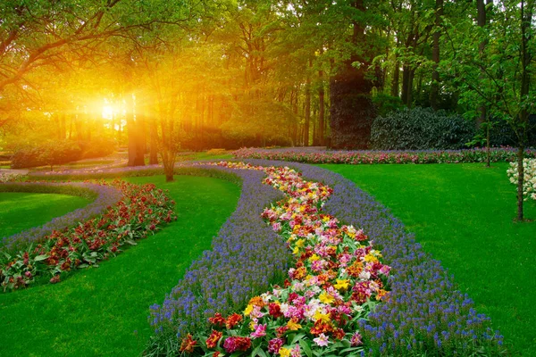 Yeşil çimenler, ağaçlar ve güneş ışığında açan çiçeklerle dolu bahar çiçeği parkı.