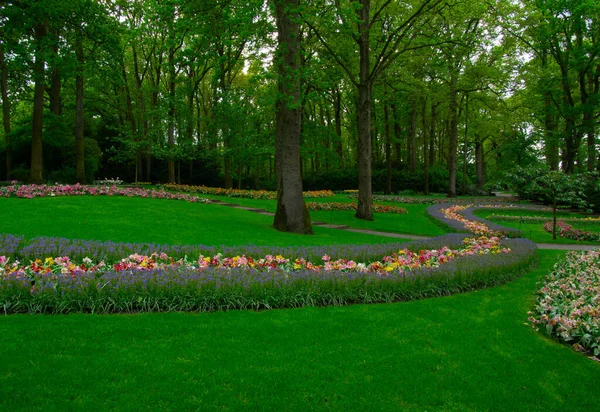 Çiçek açan bahar çiçekleri ve yeşil çimenleri olan bahçe.