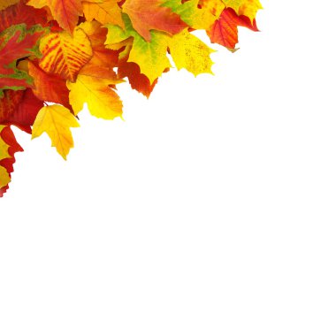 sonbahar yaprakları