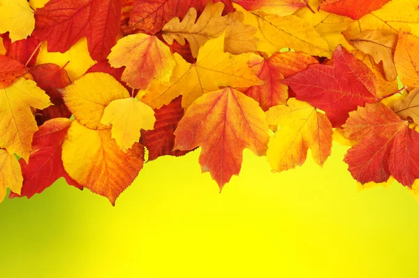 Herbstblätter — Stockfoto