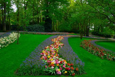 Çiçek açan bahar çiçekleri ve yeşil çimenleri olan bahçe.