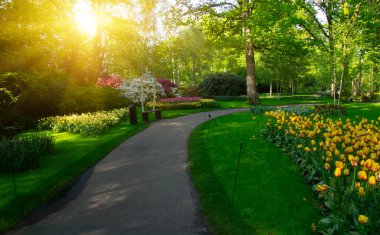 Botanik bahçesinde yeşil çimenler, bahar çiçekleri ve güneş ışığı olan bir bahçe taşı patikası.