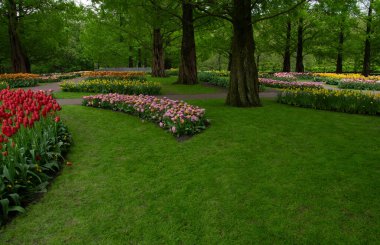 Çiçek açan bahar çiçekleri ve yeşil çimenleri olan bahçe.