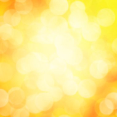 sonbahar yaprakları