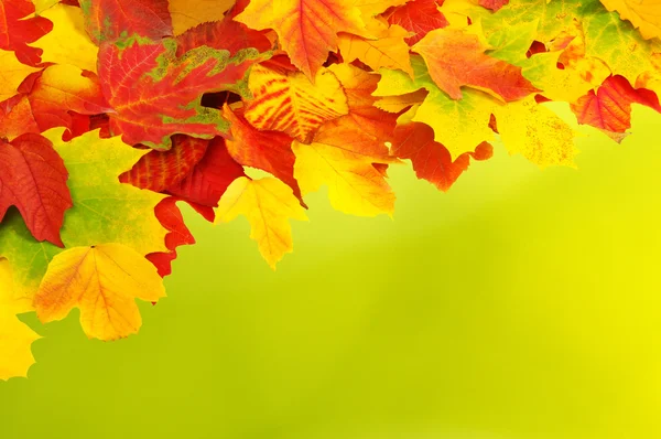 Herbstblätter — Stockfoto