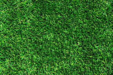 arka planı yeşil çimen