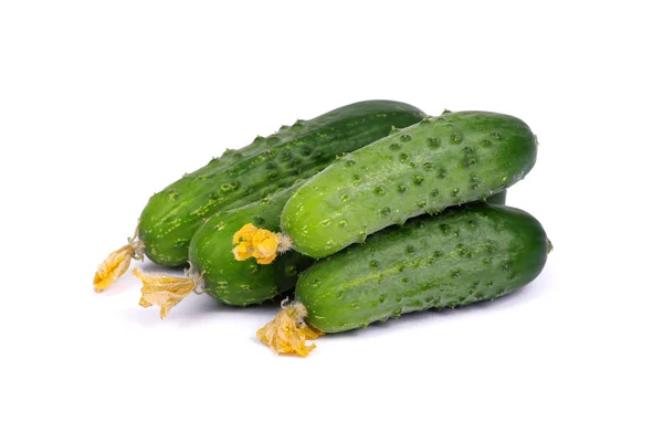 Green cucumber on flower — Stock Photo, Image