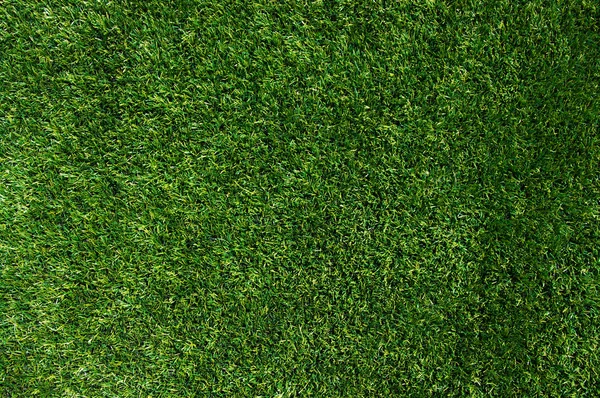 Contexte d'une herbe verte — Photo
