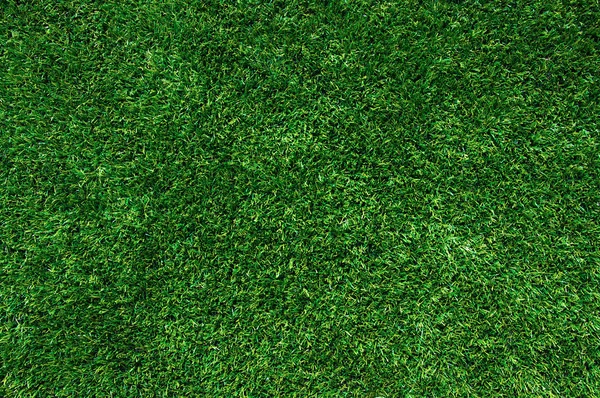 Hintergrund eines grünen Grases — Stockfoto
