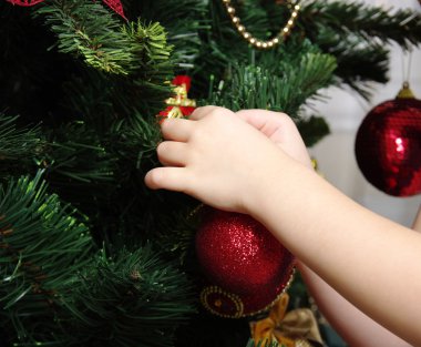 oyuncak top ve Noel ağacı dalı