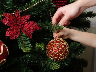 oyuncak top ve Noel ağacı dalı