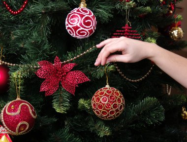 oyuncak top ve Noel ağacı dalı