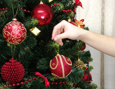 oyuncak top ve Noel ağacı dalı