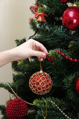 oyuncak top ve Noel ağacı dalı