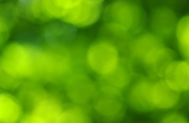 yeşil ışık arka plan