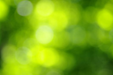 yeşil ışık arka plan