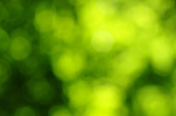 Grüner Hintergrund — Stockfoto