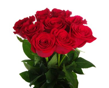  beyaz arkaplanda çiçek