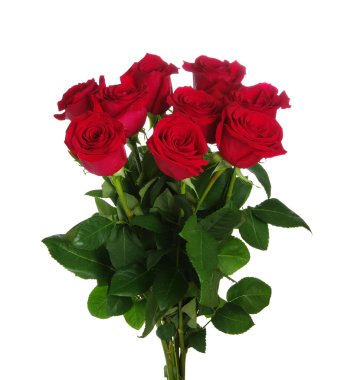  beyaz arkaplanda çiçek