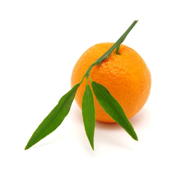 Mandarin isolated on white — Stock Photo, Image
