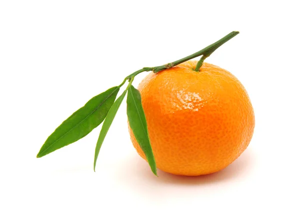 Mandarin isolated on white — Stock Photo, Image
