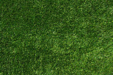 arka plan bir çimen