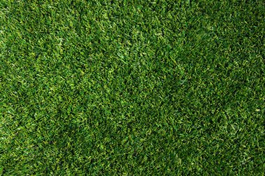 arka plan bir çimen