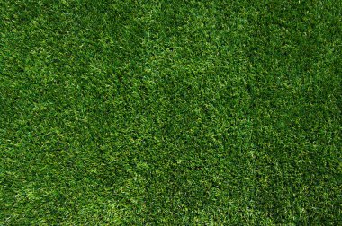 arka plan bir çimen