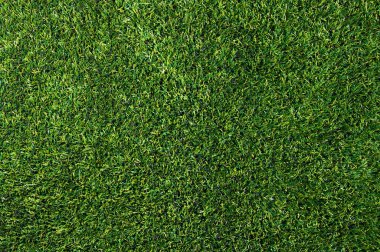 arka plan bir çimen