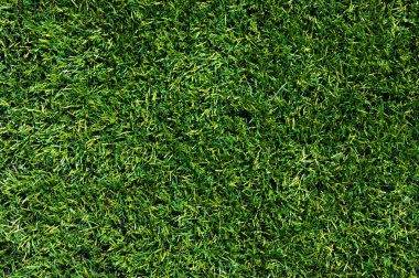 arka plan bir çimen