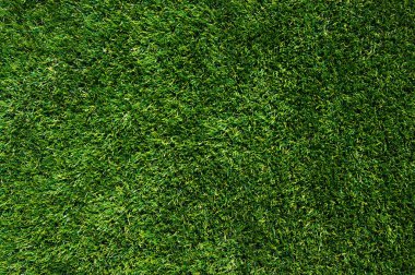 arka plan bir çimen