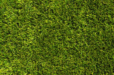 arka plan bir çimen