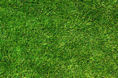 arka plan bir çimen