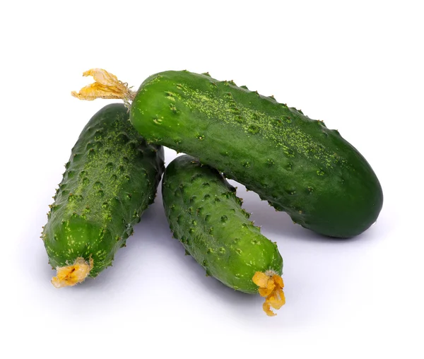 Green cucumber on flower — Stock Photo, Image
