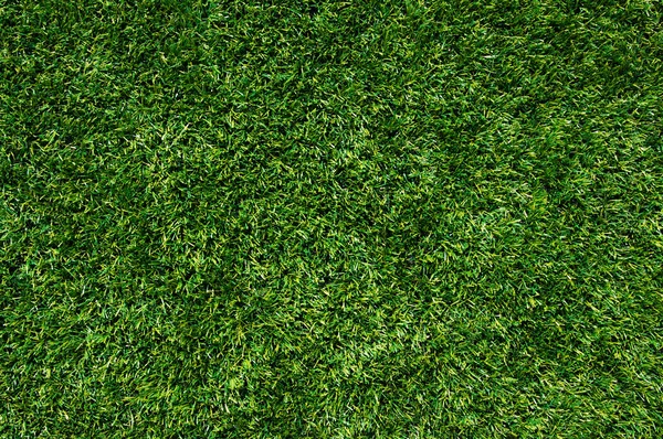 Bakgrund av en gräs — Stockfoto