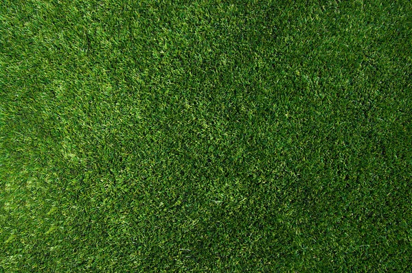 Background of a grass — Stock Photo, Image