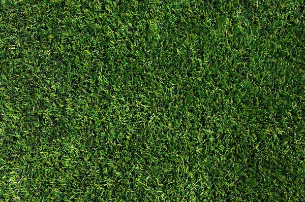 Bakgrund av en gräs — Stockfoto