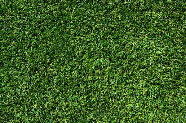Sfondo di un'erba — Foto Stock