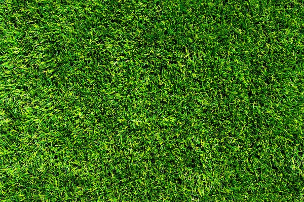 Background of a grass — Stock Photo, Image